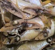 Sardine