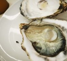 Oyster