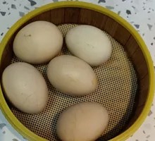 Boiled egg in plain water