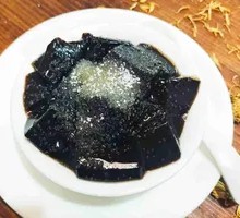 Turtle Jelly