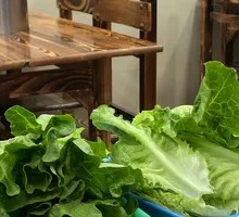 Lettuce