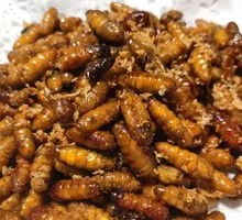 Fried Bee Larvae