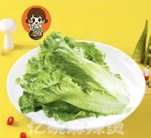 Original Lettuce