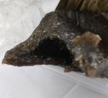 Sweet Sesame Rice Dumpling