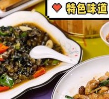 Mountain Stream Snail