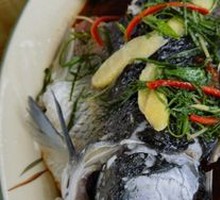 Steamed Carp