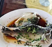 Steamed Grass Carp without Ginger
