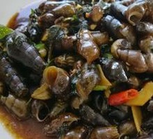 Mountain Stream Snail