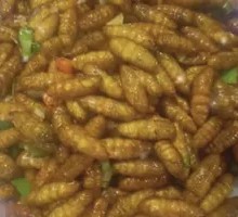 Salted Pepper Silkworm Pupae