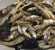 Mountain Stream Fish