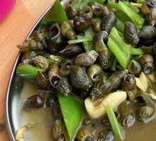 Mountain Stream Snail