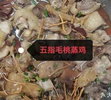 Five-fingered Mulberry Steamed Chicken