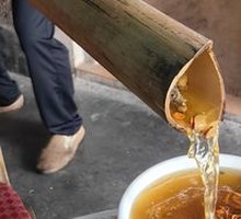 Bamboo Tube Soup with Moringa Leaves, Cordyceps, and Chicken