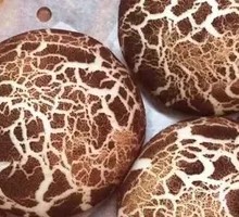 Wheat-Scented Mushroom Bun