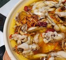 Medicated Frog with Herbal Ingredients