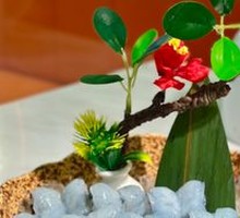 Chilled Tiger Shrimp