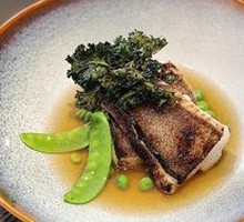 Grilled Halibut Steak