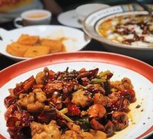 Live Frog in 10 Minutes