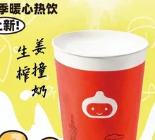 Fresh Ginger Milk Curd