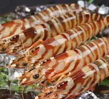 Bamboo-Shaped Shrimp