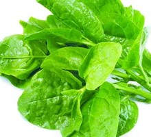 Black fungus vegetable