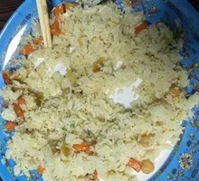 Vegetarian Hand-Rice