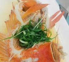 Steamed Red Snapper