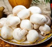 Fresh Button Mushroom