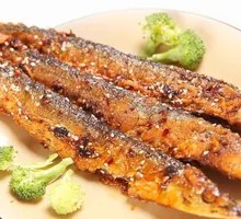 Sardine