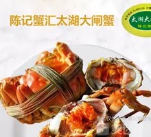 Taihu Large Female Crab
