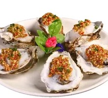 Special Zhanjiang Oyster