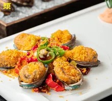 Golden Sand Abalone