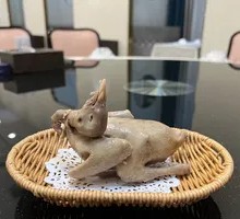 Tengjiao Young Pigeon