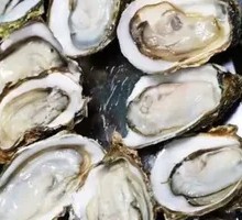 Fresh Oyster