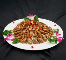 Salted Pepper Cicada Larvae