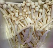 Mushroom and Soy Product Dish
