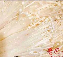 Enoki Mushroom