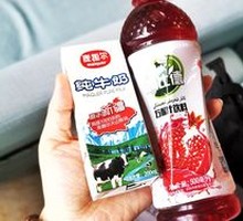 Xinjiang Pomegranate Juice