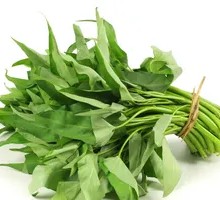 Water spinach