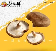 Shiitake Mushroom