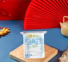 Mengniu Plain Yogurt