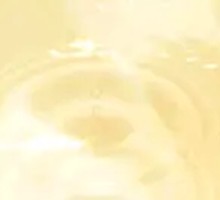 Four-Color Shrimp Dumplings