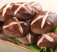 Fresh Winter Mushroom