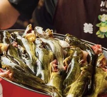 Fresh Yellow Catfish