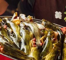 Fresh Yellow Catfish