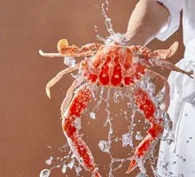 Frozen Red Crab