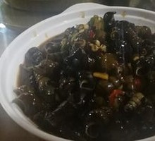 Mountain Stream Snail