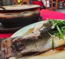 Steamed Freshwater Wuchang Bream