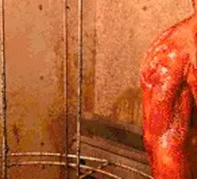 Rice Fragrance Imperial Roast Goose