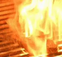 Charcoal-Grilled Inner Mongolian Lamb Chops